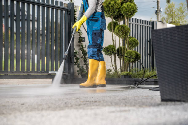 Best Roof Washing  in Inwood, WV
